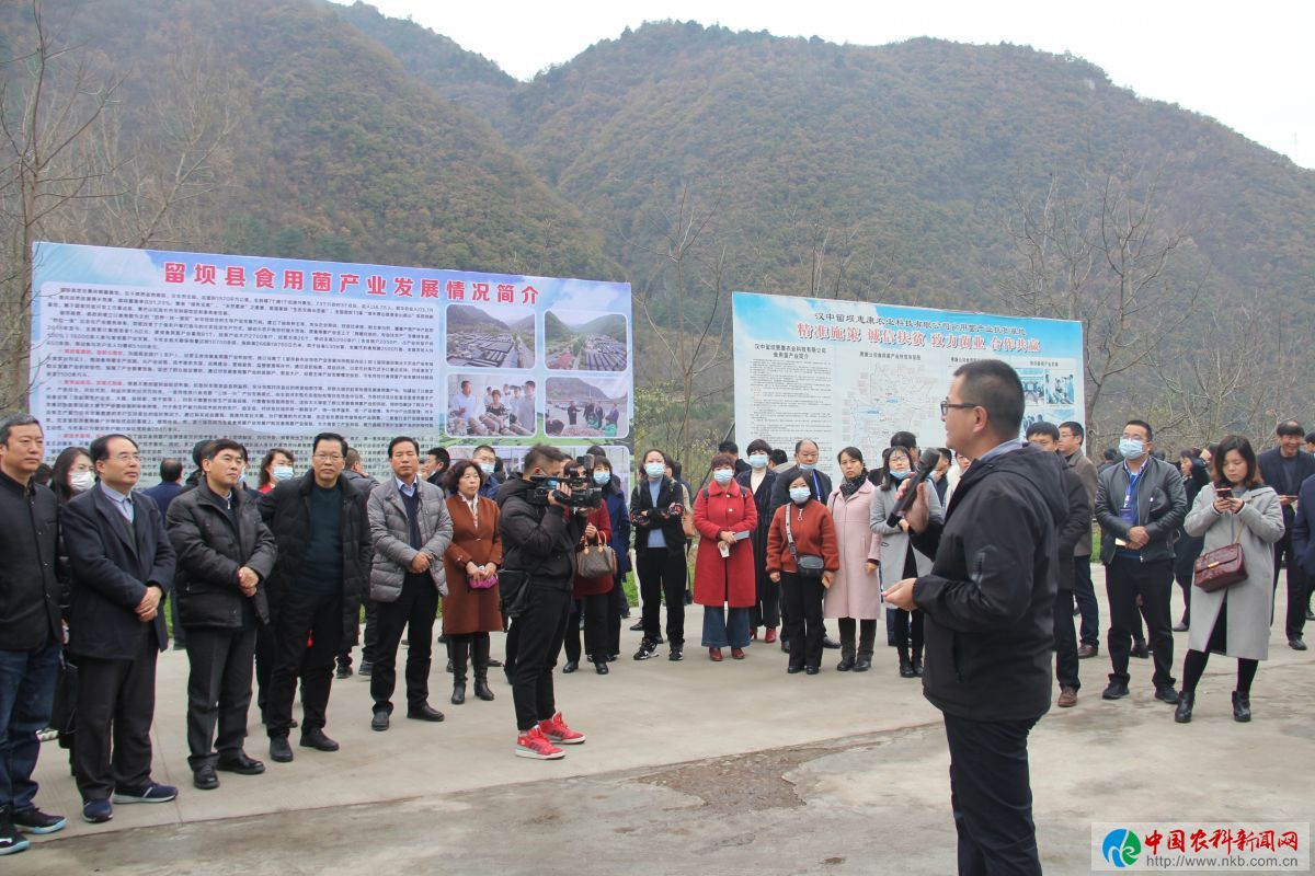 参会人员到留坝县惠康公司现场观摩