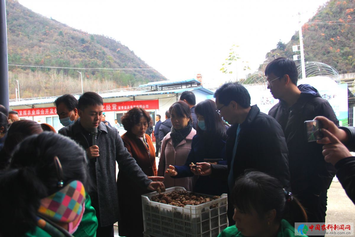 参会人员到留坝县留香宜品公司参观交流