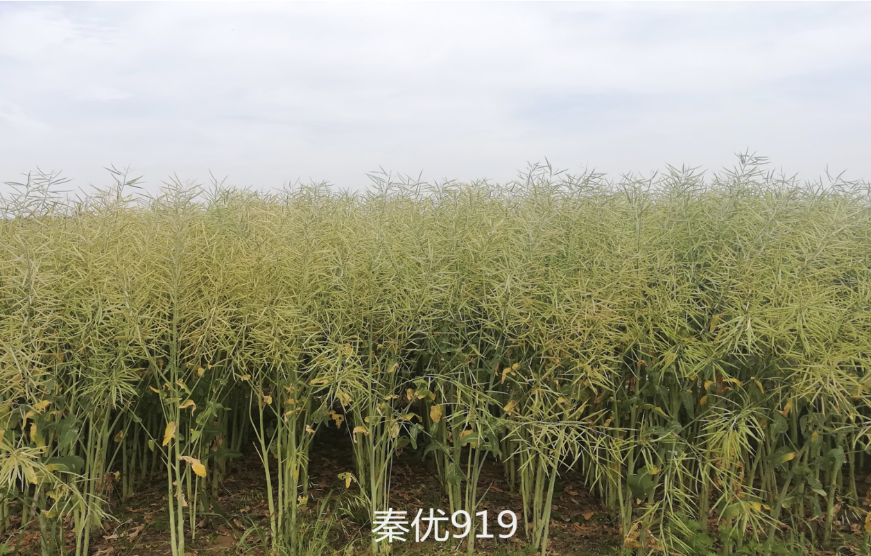 截屏2021-10-25 下午4.54.57.png