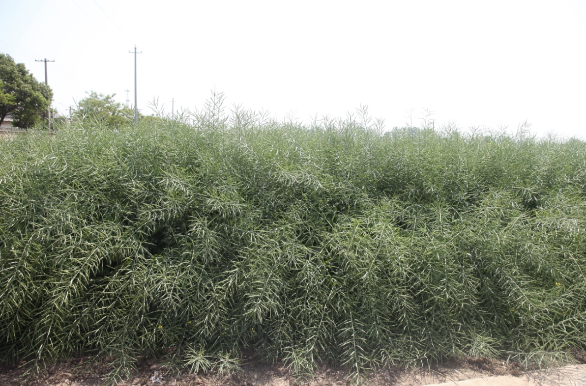 截屏2021-10-25 下午4.58.53.png