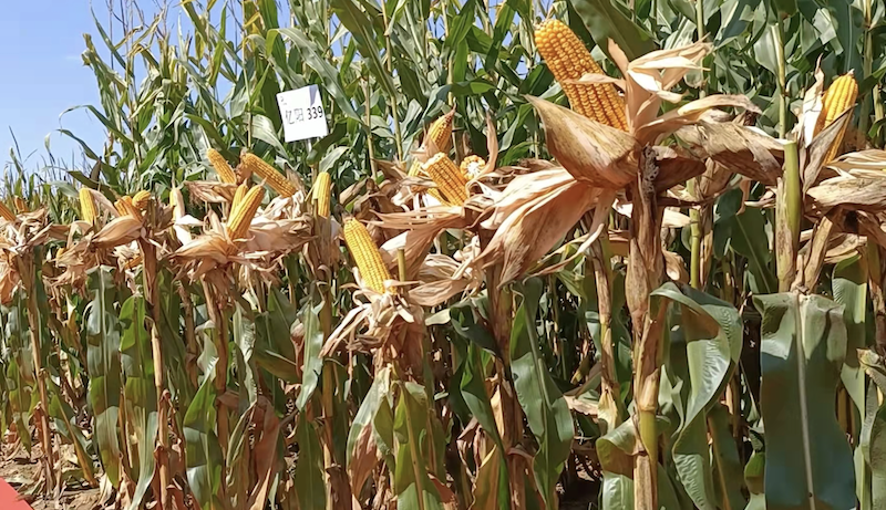 截屏2021-10-25 下午5.02.13.png