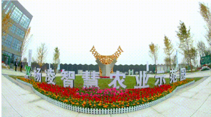 1605857711977170.png image.png