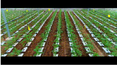 1605857789137118.png image.png