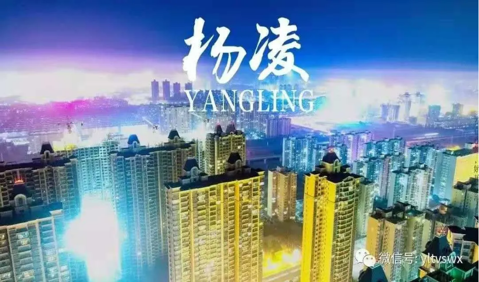 1605858062211433.png image.png