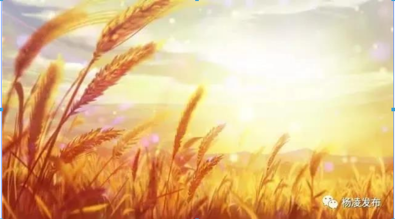 1606181063156003.png image.png