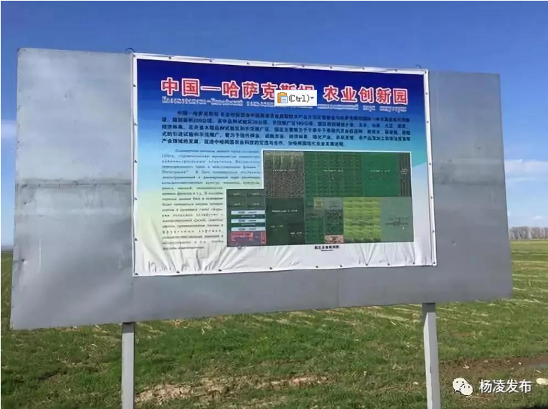 1606181274258012.png image.png