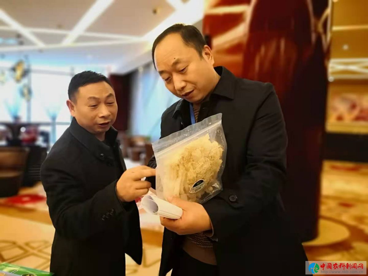 参会代表现场观摩食用菌成品