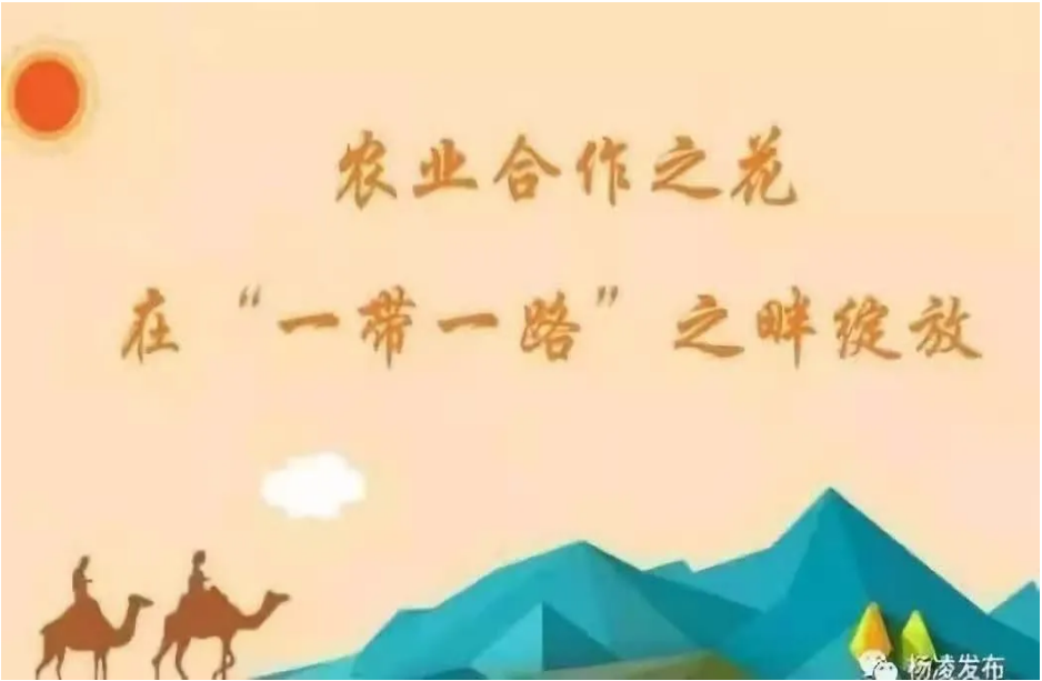 1606957533136077.png image.png