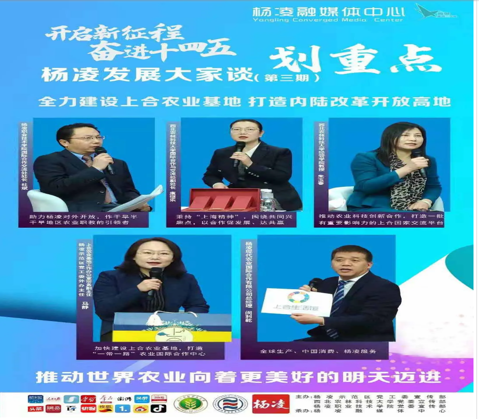 1611105226399259.png image.png