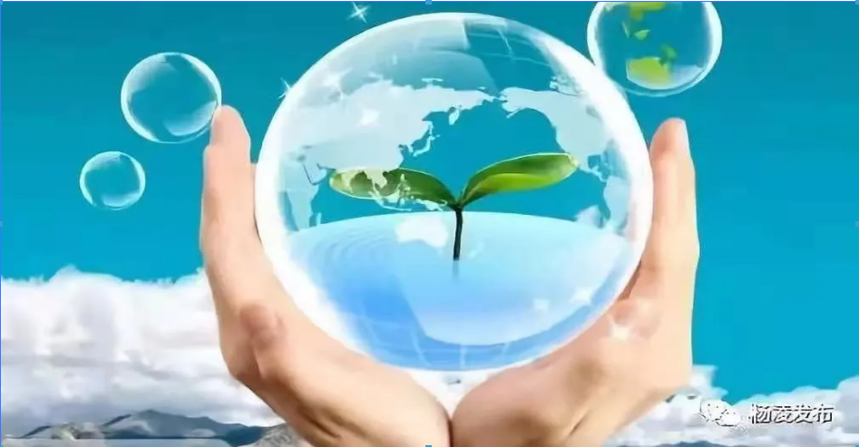1611106486634639.png image.png