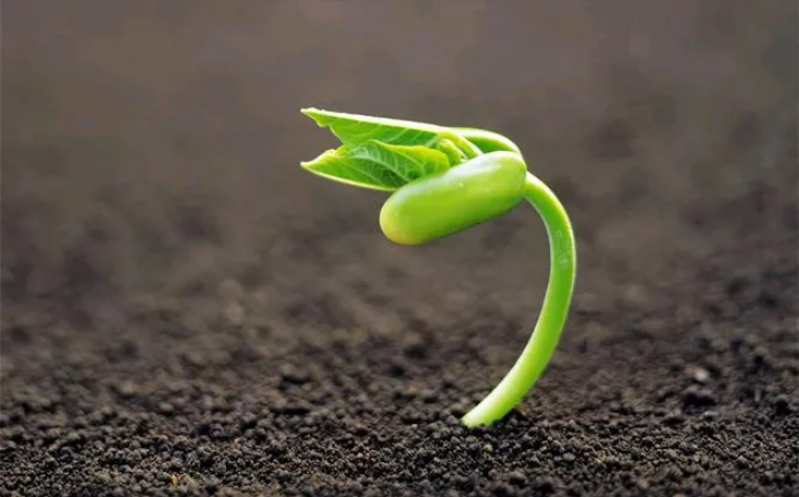 1615252362143045.png image.png