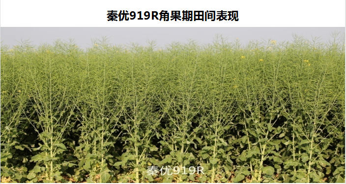 _%]0`RNCS2]SXZ(C%5W[WU8.png