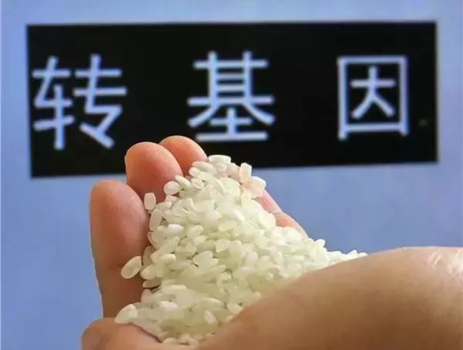1647824790255910.png image.png