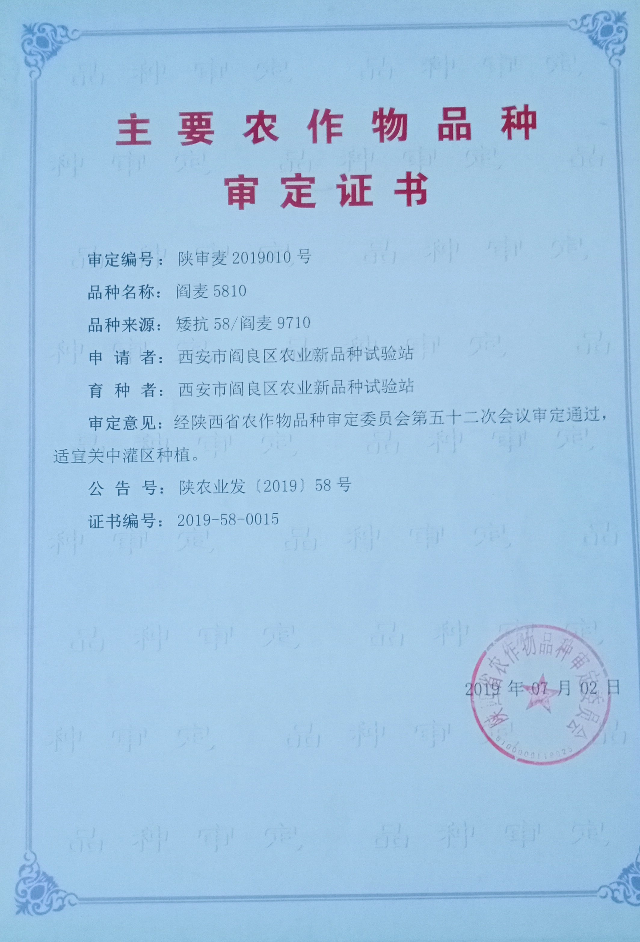 阎麦5810.jpg