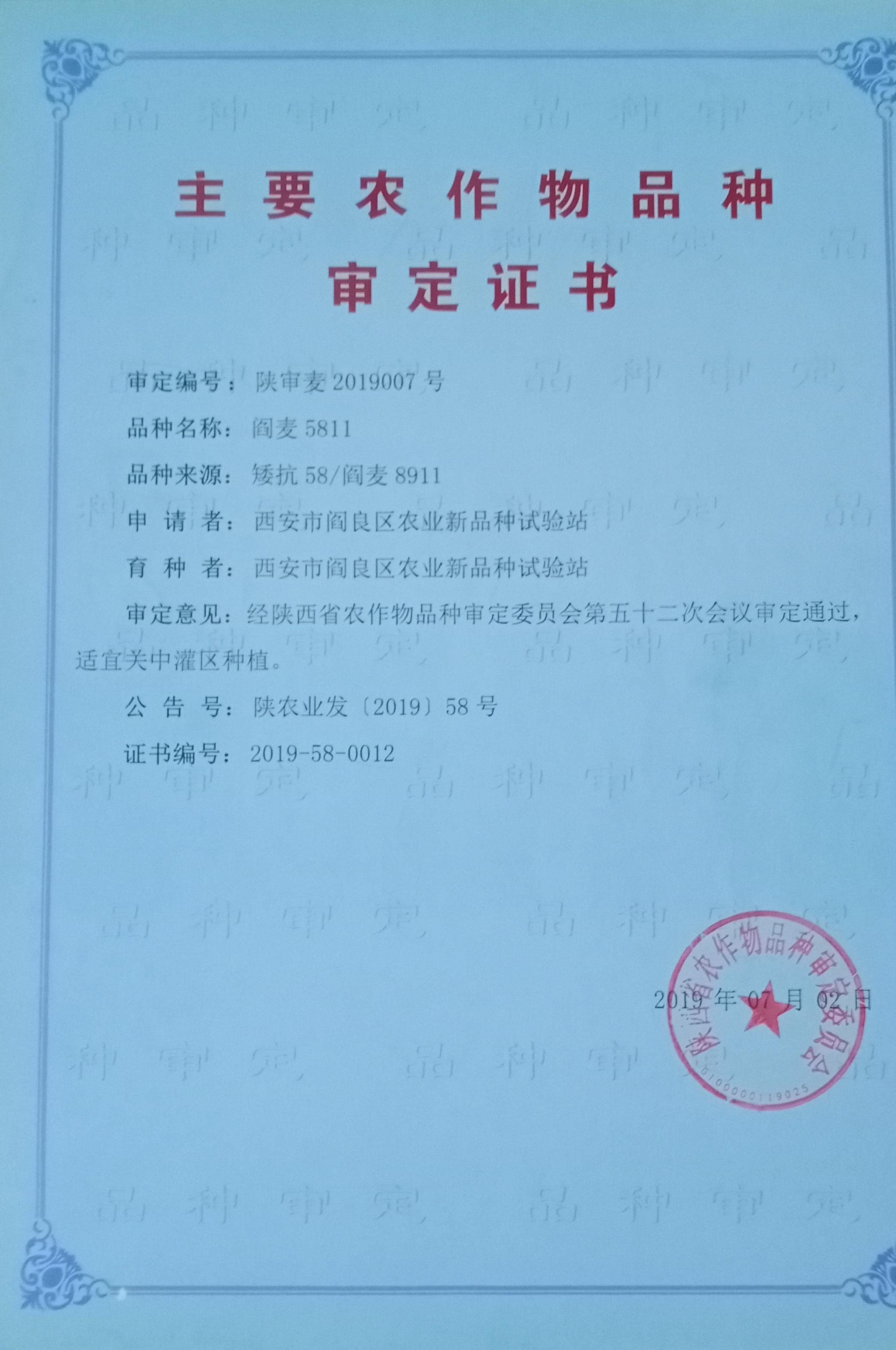 阎麦5811.jpg