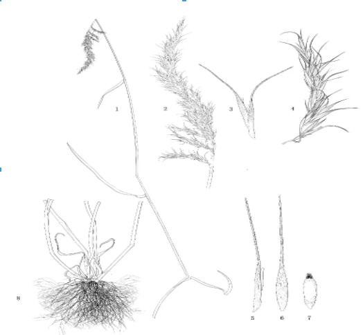 6c5d657d8eefc405a1654cb2b454c2a.png